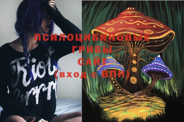 молекула духа Зеленокумск