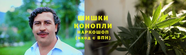 молекула духа Зеленокумск