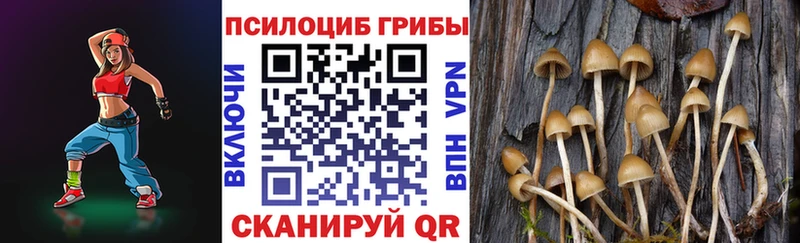 mega вход Каменск-Шахтинский Псилоцибиновые грибы ЛСД
