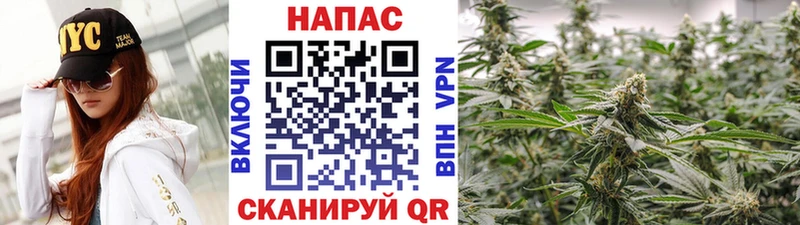 Каннабис Bruce Banner Каменск-Шахтинский